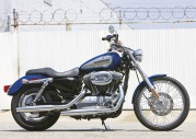 Harley-Davidson XL 1200 C Sportster